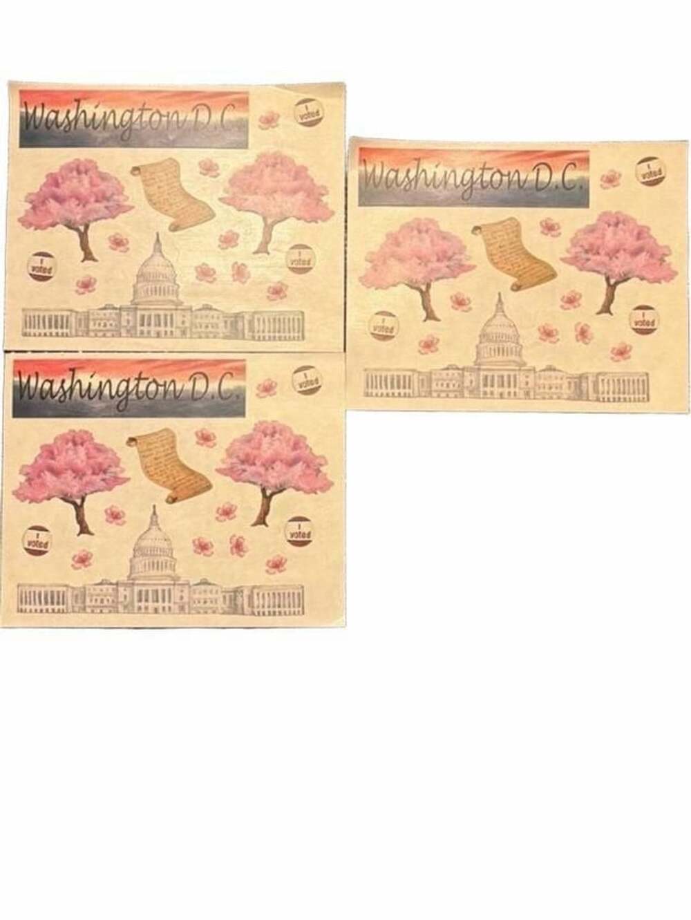Washington D.C. Cherry Blossom And Capitol Building Stickers